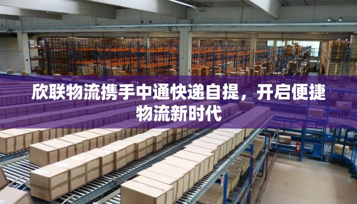 卧龙北街最新疫情：守护健康，共同前行