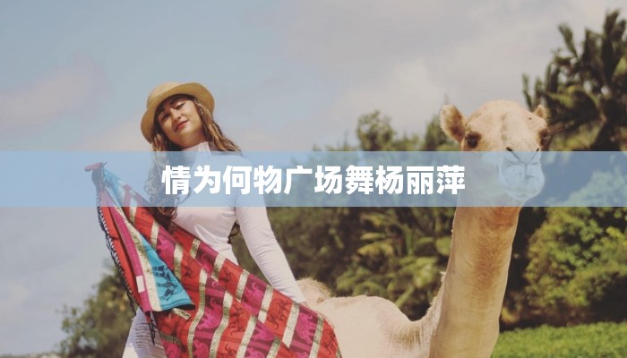 情为何物广场舞杨丽萍