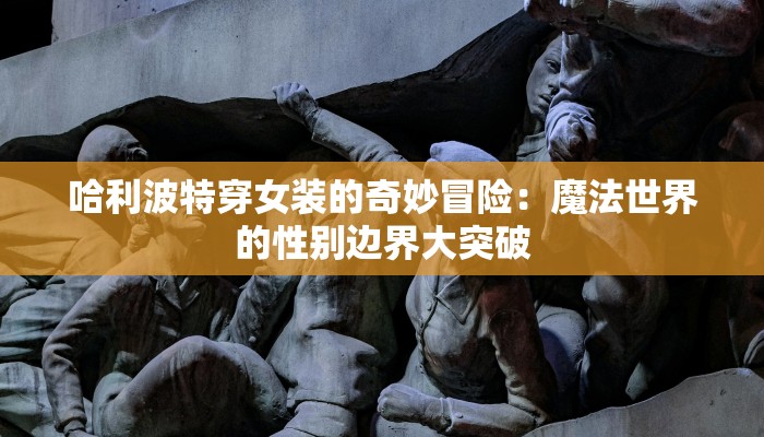 哈利波特穿女装的奇妙冒险：魔法世界的性别边界大突破